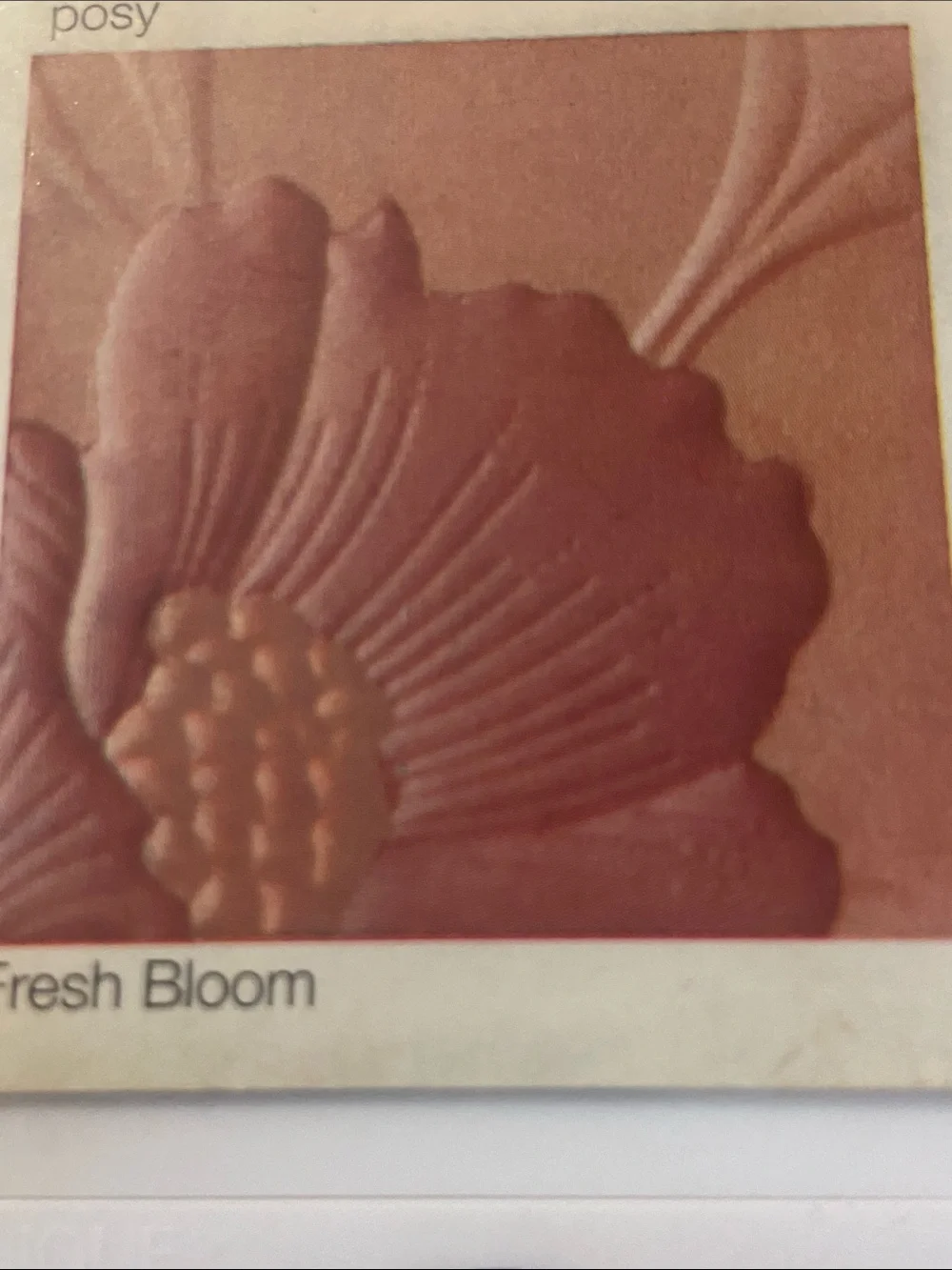 Clinique 02 Posy  Fresh Broom Allover Colour
